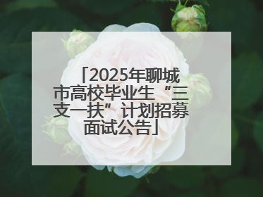 2025年聊城市高校毕业生“三支一扶”计划招募面试公告