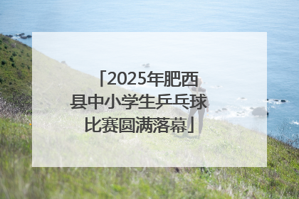 2025年肥西县中小学生乒乓球比赛圆满落幕