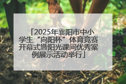 2025年襄阳市中小学生“向阳杯”体育竞赛开幕式暨阳光课间优秀案例展示活动举行