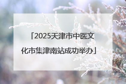 2025天津市中医文化市集津南站成功举办