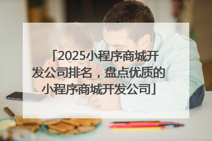 2025小程序商城开发公司排名，盘点优质的小程序商城开发公司