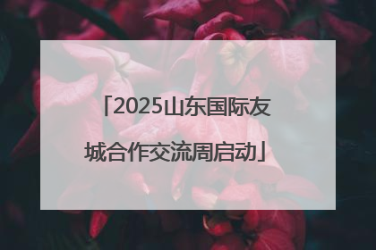 2025山东国际友城合作交流周启动