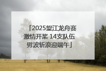 2025望江龙舟赛激情开桨 14支队伍劈波斩浪迎端午