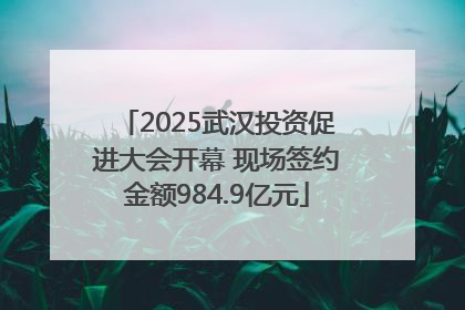 2025武汉投资促进大会开幕 现场签约金额984.9亿元