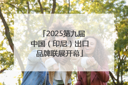2025第九届中国（印尼）出口品牌联展开幕