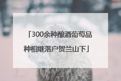 300余种酿酒葡萄品种相继落户贺兰山下