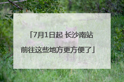 7月1日起 长沙南站前往这些地方更方便了