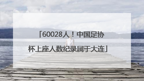 60028人！中国足协杯上座人数纪录属于大连