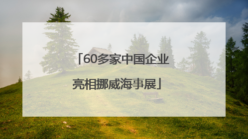 60多家中国企业亮相挪威海事展