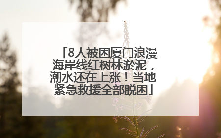 8人被困厦门浪漫海岸线红树林淤泥，潮水还在上涨！当地紧急救援全部脱困