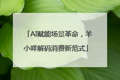 AI赋能场景革命，羊小咩解码消费新范式