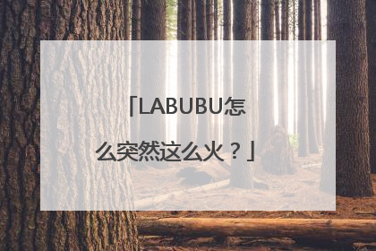 LABUBU怎么突然这么火？