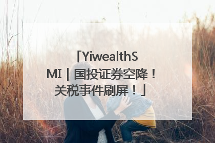 YiwealthSMI｜国投证券空降！关税事件刷屏！